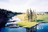 Pelican Creek near its confluence with Yellowstone Lake.