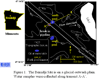 Fig.1 transect (16855 bytes)