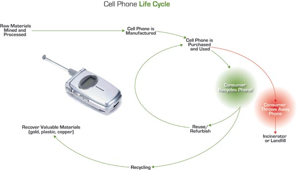 graphic depicting life cycle of a cell phone