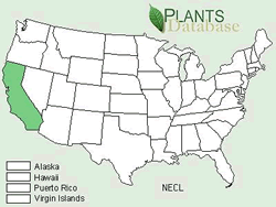 Map of the United States showing states. States are colored green where the Shasta snow-wreath may be found.