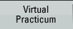 Virtual Practicum