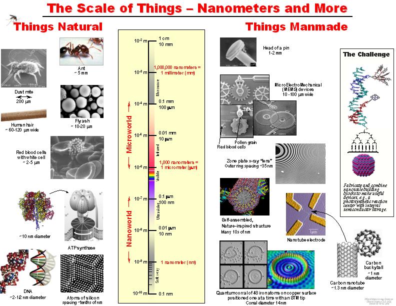 Picture of the scale of small things natural and manmade.