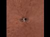 Phoenix Lander on Mars with Surrounding Terrain, Vertical Projection