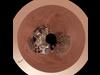 Phoenix Lander on Mars with Surrounding Terrain, Polar Projection