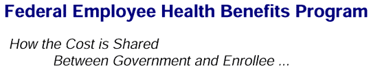 Federal Employee Health Benefits Program