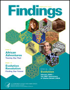 Cover image of Findings February 2009 issue