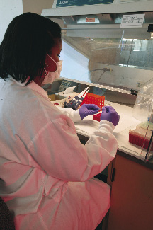 Photo of A DNAAU-2 biologist grinding hair for mitochondrial DNA extraction.