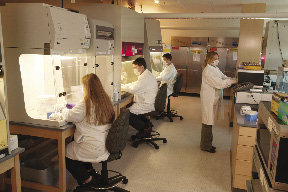 Photo of biologists conducting examinations.