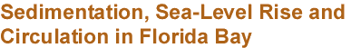 Sedimentation, Sea-Level Rise, and Circulation in Florida Bay