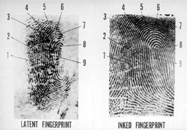 Image of fingerprints