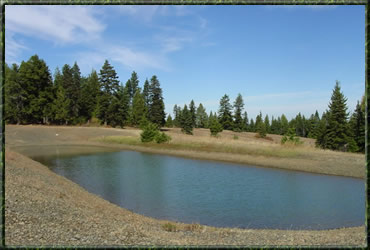 Shimmiehorn Pond on the Walla Walla Ranger District