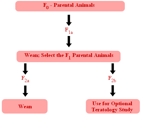 2-Generation Reproduction and Teratology Study