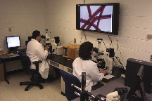 Photo of scientists analysing fiber evidence