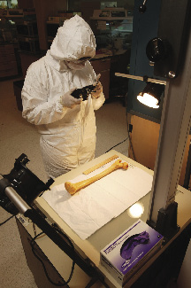 Photo of a bilogist photographing a femur