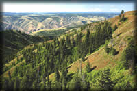 [PHOTO and LINK: Photo of Wenatchee Guard Station and Vicinity - Click for Larger Photos]