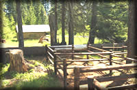 [PHOTO and LINK: Photo of Willow Prairie Cabin and Vicinity - Click for Larger Photos]