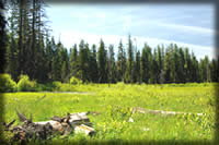 [PHOTO and LINK: Photo of Willow Prairie Cabin and Vicinity - Click for Larger Photos]