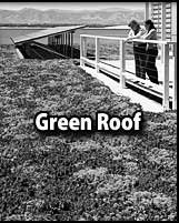 Green Roof