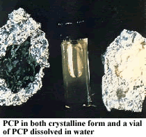 photo-PCP in both crystalline form and a vial of PCP dissolved in water