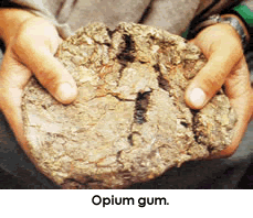 photo-opium gum