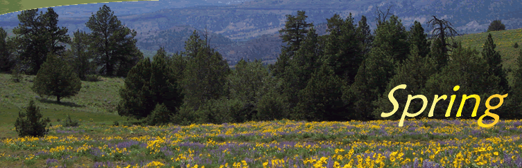 Photo:  Spring on the Heppner Ranger District