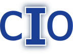 Chief Information Officer (CIO) Requirements Mini Brand