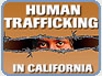 Human Trafficking