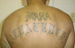 An example of an MS-13 tattoo.