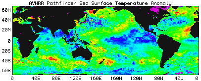 Global Sea Surface Temperature Data - 01/1996