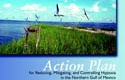 The cover of the 2001 action plan