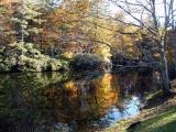 Mountain pond reflecting the autumn foliage of a forest