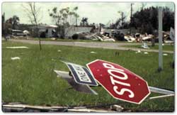 photo of devastating effects on the ground following a hurricane