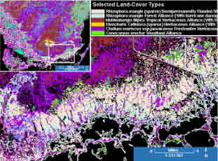 vegetation image grids of South Florida displayed in DBView