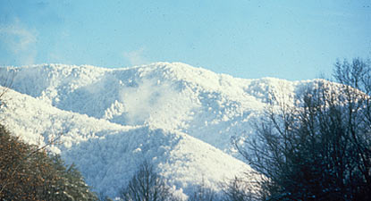 Snow on the mountains at mid to high elevations.