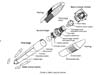 launch vehicle diagram