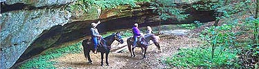 Horseback riders look at scenery along trail.