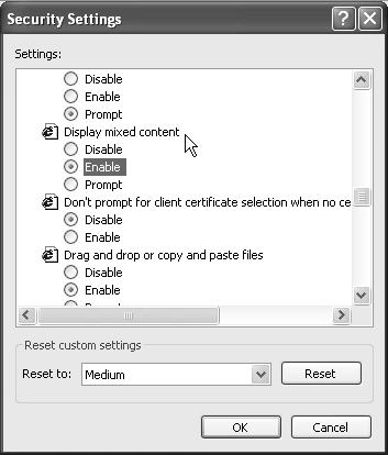 Internet Explorer Security Settings Dialog Box