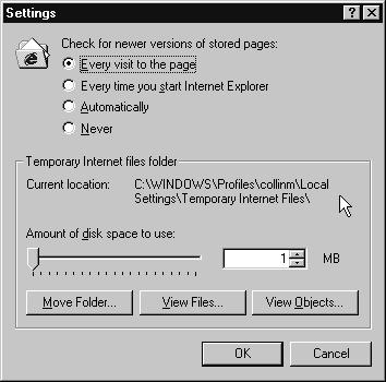Internet Explorer Settings Dialog Box