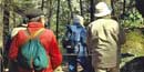 Hikers admire spring wildflowers near Charit Creek.