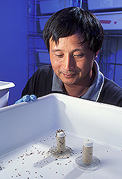 Entomologist checks the repellency of specific compounds: Click here for full photo caption.