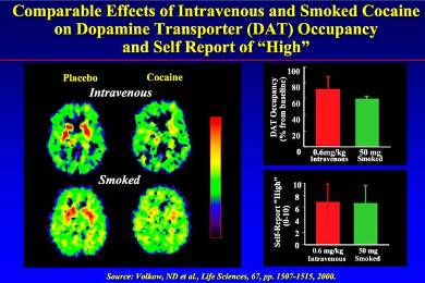 Comparable effects of intravenous and smoked cocaine on dopamine transporter (DAT) Occipancy and self report of "high"