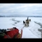 Sled dogs and sled on ice (PolarHusky.com)