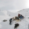 Men, dogs and sled in snowy landscape (PolarHusky.com)