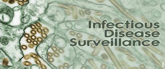 Avian influenza slide (CDC)
