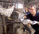 USDA researcher develops S. enteritidis vaccine for chickens