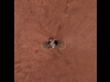 Phoenix Lander on Mars with Surrounding Terrain, Vertical Projection