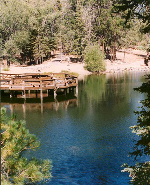 Photo: Lake Fulmor accessable fishing pier near Idyllwild