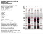 IEF Calibrated Gel image