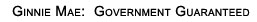 Ginnie Mae:  Government Guaranteed