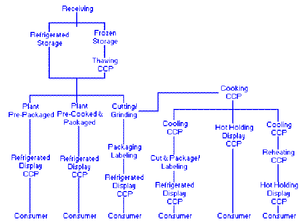 Flow Diagram 1
